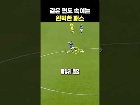 같은 편도 속이는 완벽한 패스