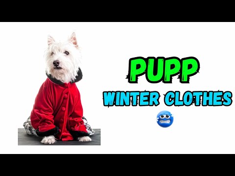 Winter Wardrobe Essentials for Your Puppy