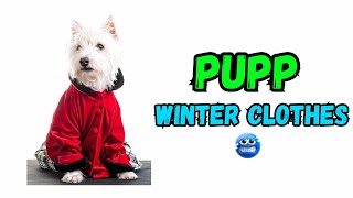 Winter Wardrobe Essentials for Your Puppy
