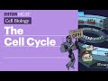 Cell Cycle and Regulation Concepts
