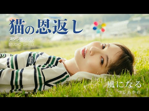 【猫の恩返し】 風になる / つじあやの cover by Seira