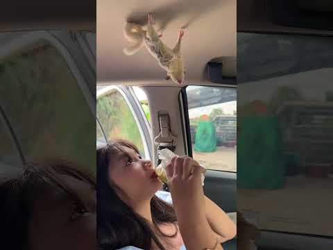 #funny #cute