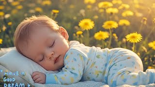 Baby Sleep & Brain Development Music🎶 Mozart Brahms Lullaby | Fall Asleep Fast😴