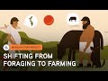 Exploring the Evolution of Human Societies