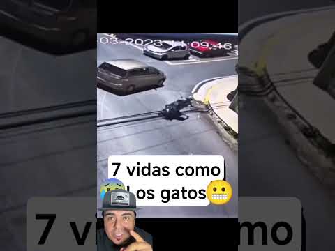 Reaccionó a tiempo😱🫡 #shortvideo #shorts #reels #tips #ideas #moto #police #karma #funny #fun ￼
