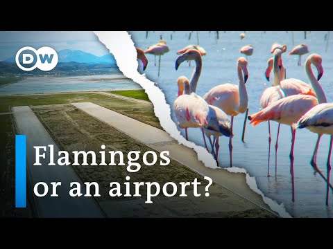 YouTube video thumbnail: Natural Paradise Under Threat in Albania - Will the Lagoon Be Saved?