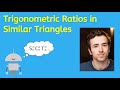 Exploring Trigonometric Ratios in Similar Triangles