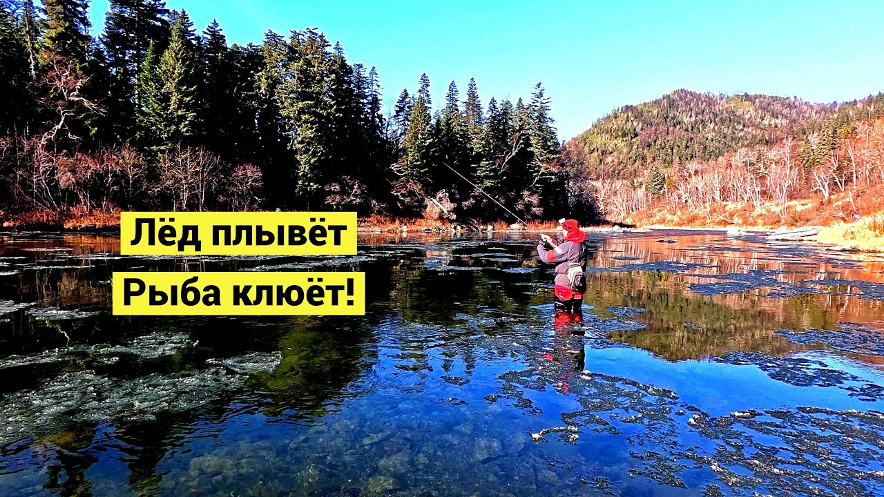 Юркая рыба среди льдин. Рыбалка с комфортом!