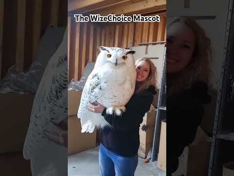 🦉