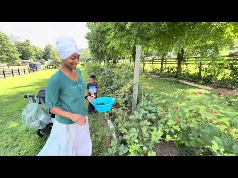Garden & Greenhouse