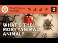 Zoology Concepts and Species Diversity