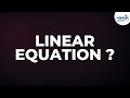 Linear Equations and Their Solutions