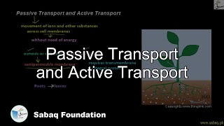 Passive Transport and Active Transport