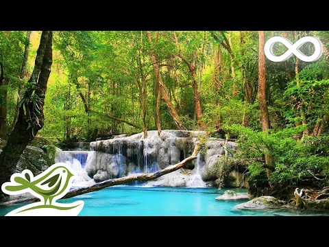 Relaxing Zen Music with Water Sounds • Relax, Sleep, Spa, Yoga, Meditation