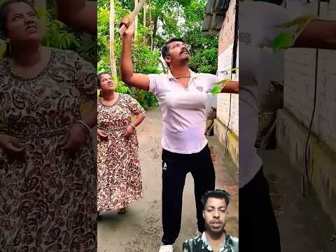 โค๏ธA disabled duckling helps his cat friend ๐ฅ #DuckRescue #CuteAnimal #AnimalRescue 2574