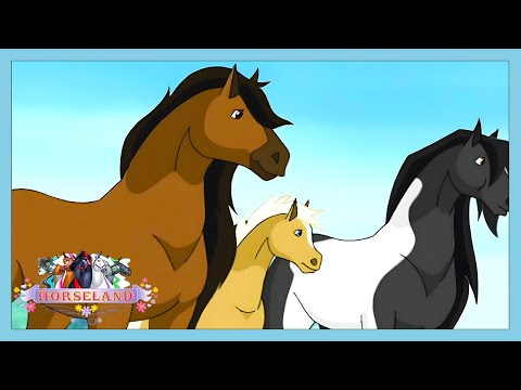 Cavalos selvagens! | Horseland | WildBrain Português