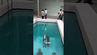 Fake Pool Illusion That Fooled Everyone