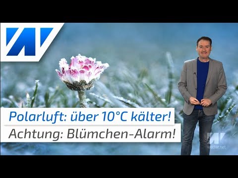 Temperatursturz sorgt für Blümchen-Alarm!