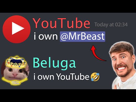 When Beluga Owns YouTube...