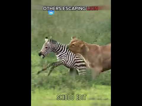 The cleanest escape ๐