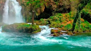 Relaxing Music with Nature Sounds - Waterfall