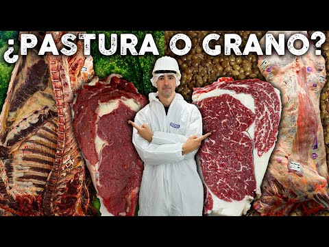 Carne de Pastura Argentina: ¿La mejor o un mito? | Locos X el Asado