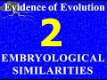 Embryology and Evolutionary Evidence