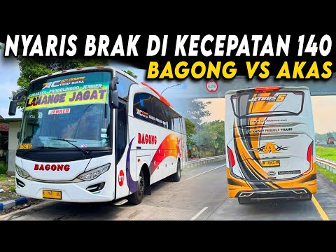 "ADU NYALI HINGGA HAMPIR MATI ‼️ REM MENDADAK DI 140 KPJ🔥" Trip Report Naik Bus BAGONG Jember Bodrex
