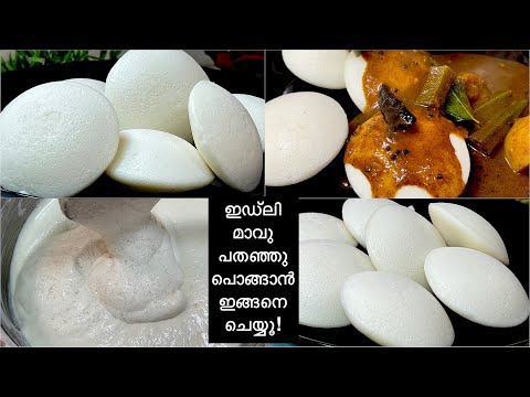 പൂ പോലെ Soft ആയ ഇഡ്ലി ഉണ്ടാക്കാൻ ഇത്പോലെ മാവ് തയ്യാറാക്കിയാൽ മതി | How to Make Soft and Fluffy Idli