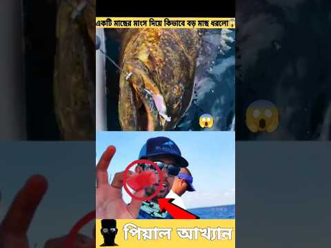 মাছের মাংস টুকরা দিয়ে একটি বড় মাছ ধরল 😱😱 #fishing #sorts #story