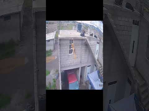 dog video #dog #dogvideos #shortvideo #short #omg #viral