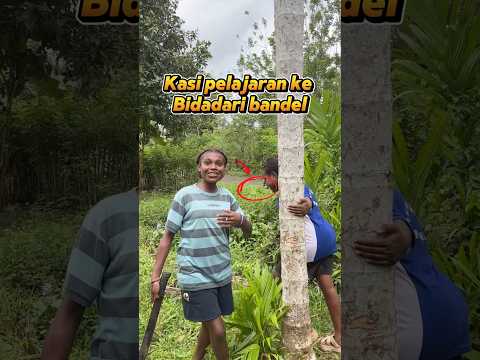 H4mpir dapat Bogem ๐ฑ #fyp #papua #tni #buahmerah #shortvideo