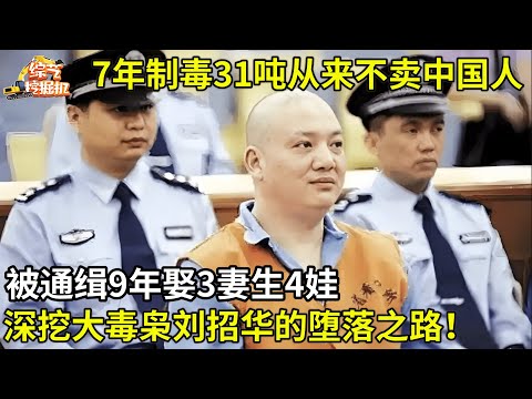 从法警变毒枭,三小时造20公斤冰毒是什么概念?中国毒王刘招华,7年制毒31吨远销欧美!