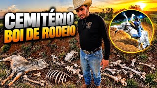     ENCONTRAMOS UM CEMITÉRIO DE BOIS DE RODEIO