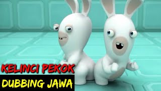 DUBBING JAWA RABBIT INVATEL (kelinci pekok)
