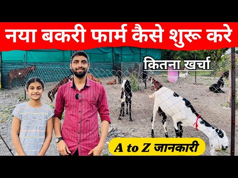 नया बकरी फार्म कैसे शुरू करे पूरी जानकारी | How to start new goat farm full information