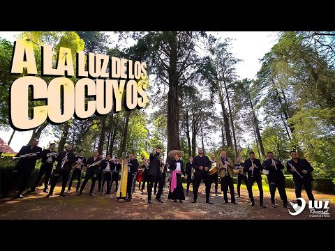 Estrellas De Sinaloa De Germán Lizárraga & Mariachi Los Gavilanes- A La Luz De Los Cocuyos | MUSICAL