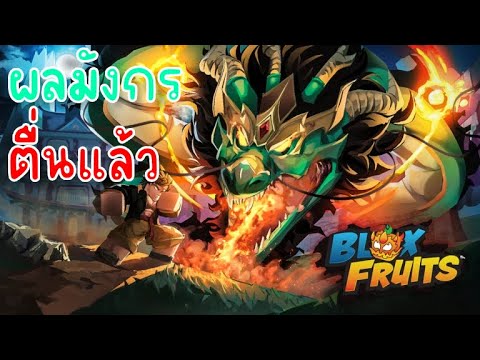 ไลฟ์สดบล็อกฟุตDRAGONREWORKทำมังกรV4BloxFruits