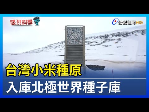 台灣小米種原 入庫北極世界種子庫【發現科學】 - YouTube