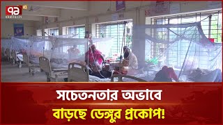 দাউদকান্দিতে ডেঙ্গুর প্রকোপ  | News |Ekattor TV
