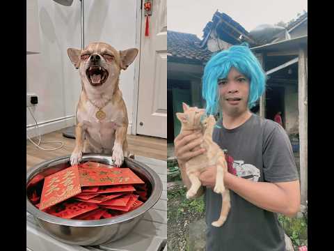 Maksa #belbelbebeb