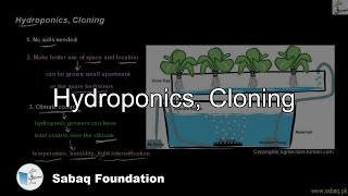 Hydroponics, Cloning