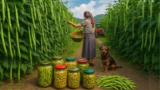 WITHOUT Fridge! How Villagers Store Beans & Vegetables for 12 Months | Cooking Traditional Soup