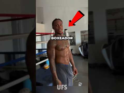 Una PATADA bastó para CALLARLO! #ufc #ufcgym #mma