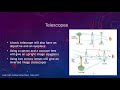Optics and Telescope Concepts