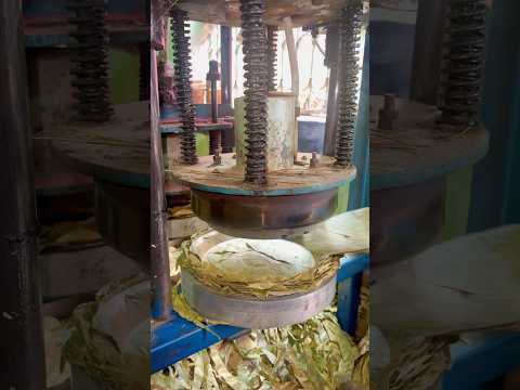 Sal Patta Cutting Machine ||#youtubeshorts #shorts #tending #viralvideo #works #minishortvlog