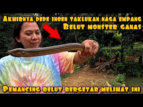 DEDE INOEN MANCING MONSTER PENGHUNI EMPANG PURBA