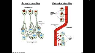 Advanced Cell Biology - Slides 151-180 - ver2