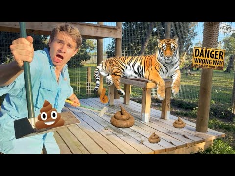 CLEANING All The ANIMALS AT MY ZOO !