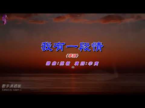 我有一段情〈華語〉〈歌手演唱版〉